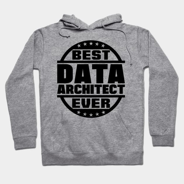 Best Data Architect Ever Hoodie by colorsplash